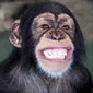 miloman's picture