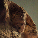 vrexplorer's picture