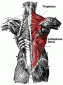 Bowplane's picture