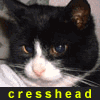 cresshead's picture