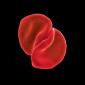 Faruk Sabanovic's picture