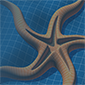 Ironix's picture